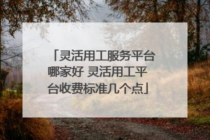 灵活用工服务平台哪家好 灵活用工平台收费标准几个点