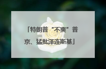 特朗普“不爽”普京、猛批泽连斯基