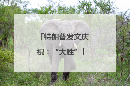 特朗普发文庆祝：“大胜”