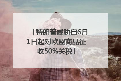 特朗普威胁自6月1日起对欧盟商品征收50%关税