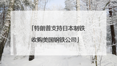 特朗普支持日本制铁收购美国钢铁公司