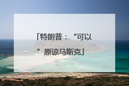 特朗普：“可以”原谅马斯克