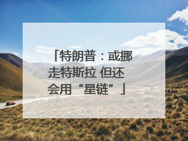 特朗普：或挪走特斯拉 但还会用“星链”