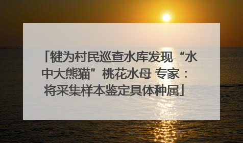 犍为村民巡查水库发现“水中大熊猫”桃花水母 专家：将采集样本鉴定具体种属