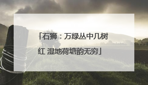 石狮：万绿丛中几树红 湿地荷塘韵无穷