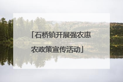 石桥镇开展强农惠农政策宣传活动