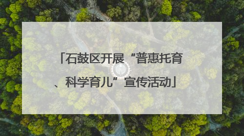 石鼓区开展“普惠托育、科学育儿”宣传活动