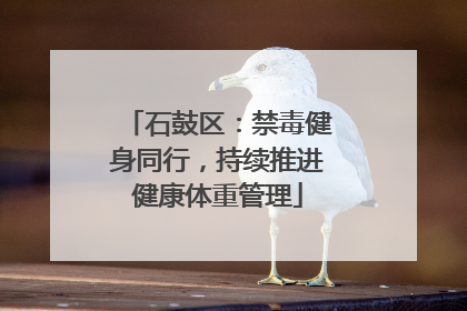石鼓区：禁毒健身同行，持续推进健康体重管理