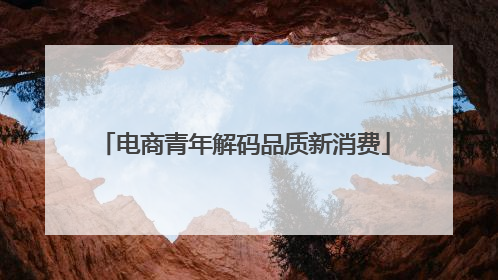 电商青年解码品质新消费