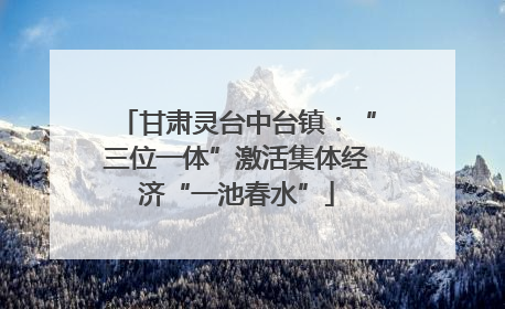 甘肃灵台中台镇：“三位一体”激活集体经济“一池春水”