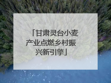 甘肃灵台小麦产业点燃乡村振兴新引擎
