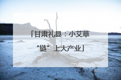 甘肃礼县：小艾草“链”上大产业