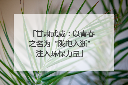 甘肃武威：以青春之名为“陇电入浙”注入环保力量