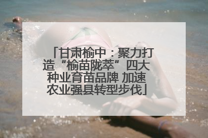 甘肃榆中：聚力打造“榆苗陇萃”四大种业育苗品牌 加速农业强县转型步伐