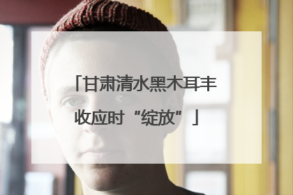 甘肃清水黑木耳丰收应时“绽放”