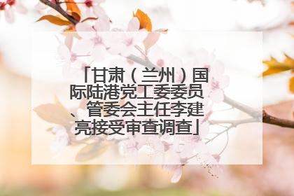 甘肃（兰州）国际陆港党工委委员、管委会主任李建亮接受审查调查