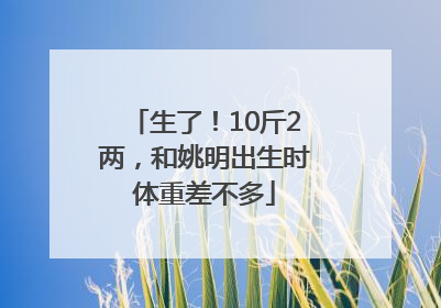 生了！10斤2两，和姚明出生时体重差不多
