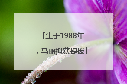 生于1988年，马丽拟获提拔