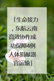 生命接力，东航云南高效协作成功保障4例人体捐献器官运输