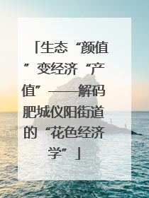 生态“颜值”变经济“产值”——解码肥城仪阳街道的“花色经济学”