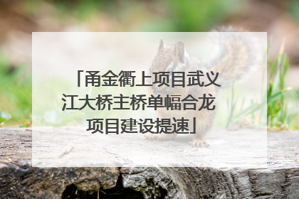 甬金衢上项目武义江大桥主桥单幅合龙 项目建设提速