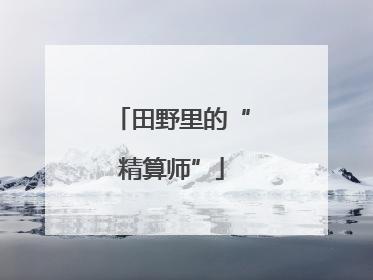 田野里的“精算师”