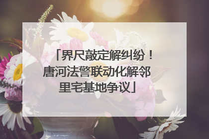 界尺敲定解纠纷！唐河法警联动化解邻里宅基地争议