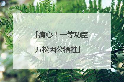 痛心！一等功臣万松因公牺牲