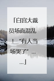 白宫大裁员场面混乱！“有人当场哭了”……