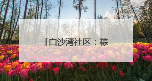 白沙湾社区：粽香守安筑防线 清风润廉护家园
