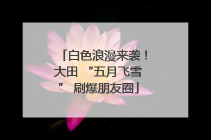 白色浪漫来袭！大田 “五月飞雪” 刷爆朋友圈