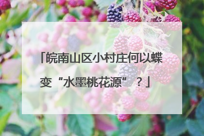 皖南山区小村庄何以蝶变“水墨桃花源”？