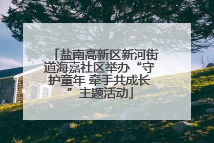 盐南高新区新河街道海嘉社区举办“守护童年 牵手共成长”主题活动