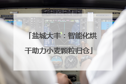 盐城大丰：智能化烘干助力小麦颗粒归仓