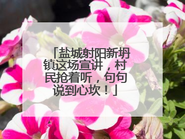 盐城射阳新坍镇这场宣讲，村民抢着听，句句说到心坎！