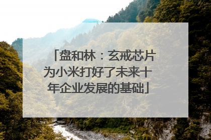 盘和林：玄戒芯片为小米打好了未来十年企业发展的基础