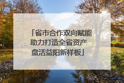 省市合作双向赋能 助力打造全省资产盘活益阳新样板