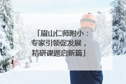 眉山仁师附小：专家引领促发展，精研课题启新篇