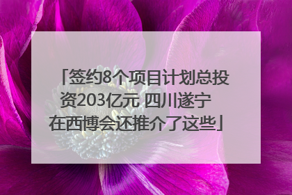 签约8个项目计划总投资203亿元 四川遂宁在西博会还推介了这些