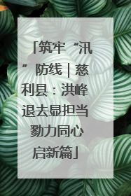 筑牢“汛”防线｜慈利县：洪峰退去显担当 勠力同心启新篇