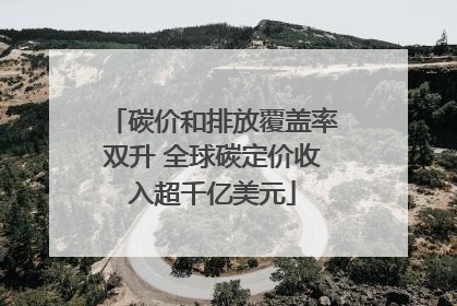 碳价和排放覆盖率双升 全球碳定价收入超千亿美元