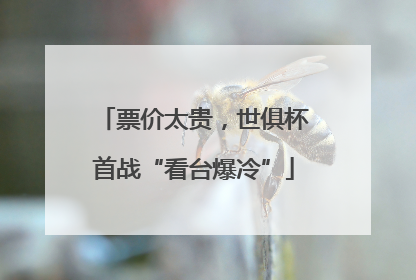 票价太贵，世俱杯首战“看台爆冷”