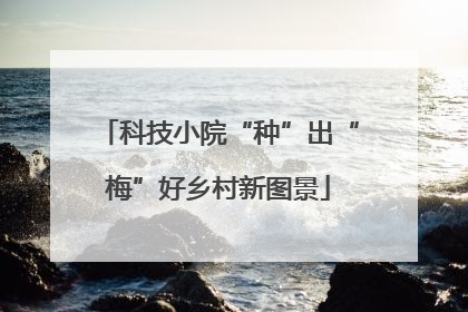 科技小院“种”出“梅”好乡村新图景