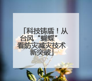 科技铸盾！从台风“蝴蝶” 看防灾减灾技术新突破