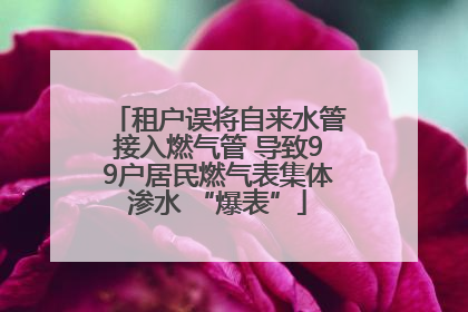 租户误将自来水管接入燃气管 导致99户居民燃气表集体渗水 “爆表”