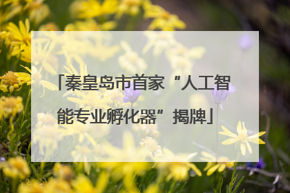 秦皇岛市首家“人工智能专业孵化器”揭牌