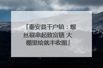 秦安县千户镇：螺丝椒串起致富链 大棚里绘就丰收图
