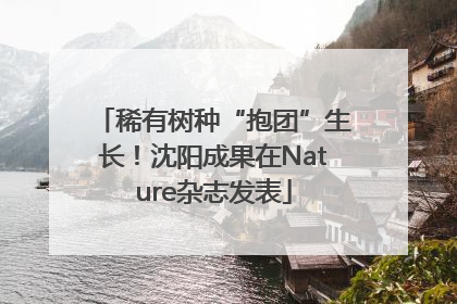 稀有树种“抱团”生长！沈阳成果在Nature杂志发表