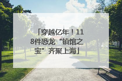 穿越亿年！118件恐龙“镇馆之宝”齐聚上海