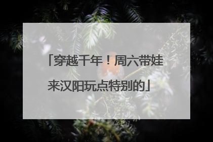 穿越千年！周六带娃来汉阳玩点特别的
